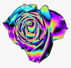 (3) Pinterest iridescent rose