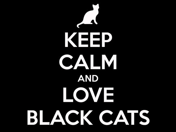 Cat Black Keep Calm - Free image on Pixabay