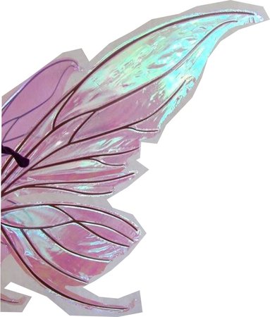 pink iridescent fairy butterfly wing