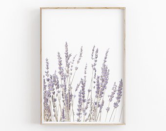 Lavender Print Instant Art INSTANT DOWNLOAD Modern | Etsy