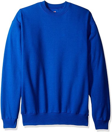Hanes Men's EcoSmart Fleece Sweatshirt, Safety Orange, Large at Amazon Men’s Clothing store