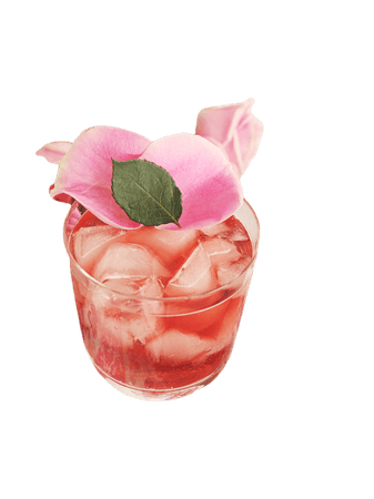 rose water gin fizz cocktails drinks