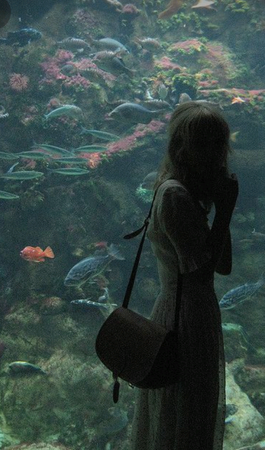 aquarium elegant