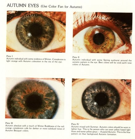 cmas autumn eyes - Google Search