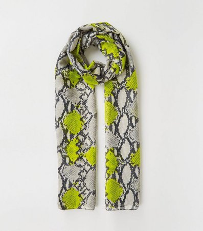 Green Neon Snake Print Scarf | New Look