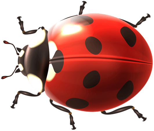 Ladybug Transparent PNG Clip Art Image​ | Gallery Yopriceville - High-Quality Images and Transparent PNG Free Clipart