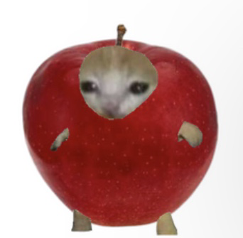 apple cat