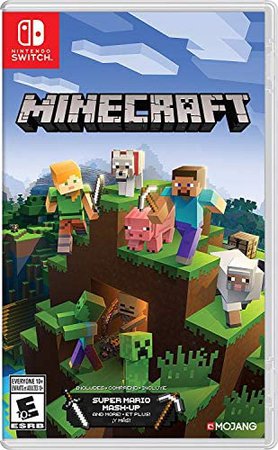 Amazon.com: Minecraft - Nintendo Switch: Nintendo of America: Video Games