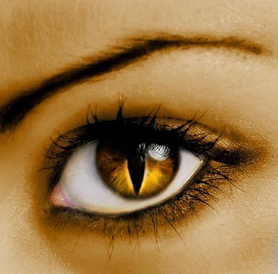 gold eyes