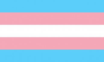 Trans flag