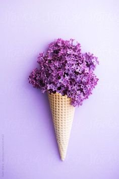 ice cream flowers