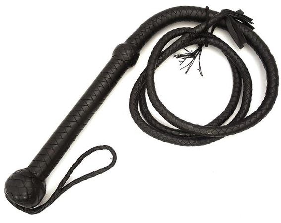 whip leather -