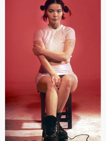 "Bjork 90s Poster" Photographic Print for Sale by InfluentialArt | Redbubble