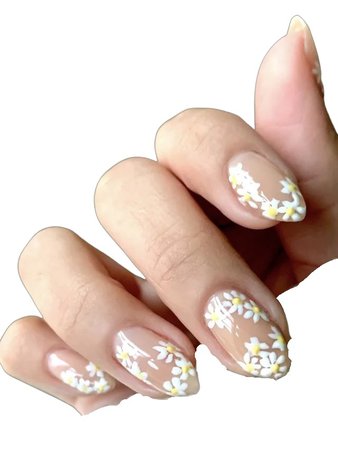 simple nude white yellow daisy flower nails