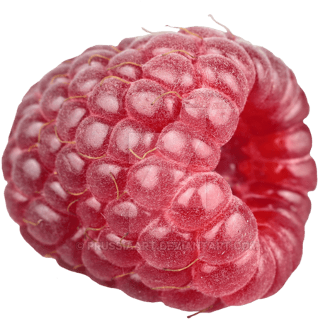 Download Raspberries Png - Transparent Background Black Raspberry Png - Full Size PNG Image - PNGkit