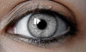 silver eyes - Google Search