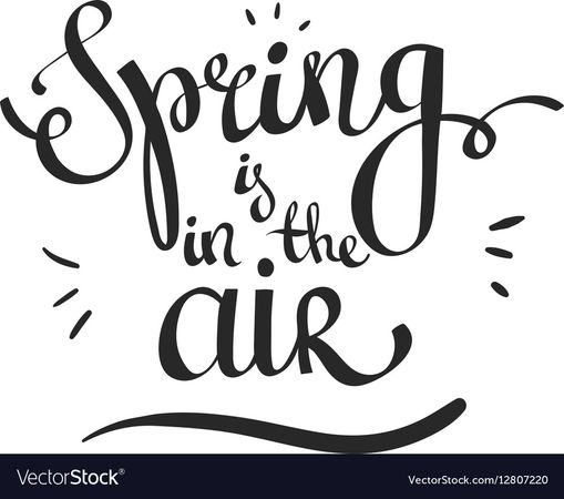 Hand lettering words spring is in the air Vector Image
