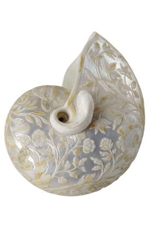 Cornelis Bellekin, 1650 - 1700 / Carved nautilus shell