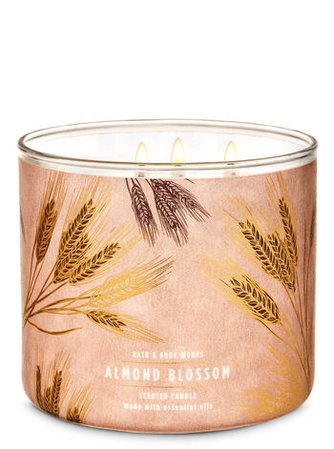 Almond Blossom 3-Wick Candle | Bath & Body Works