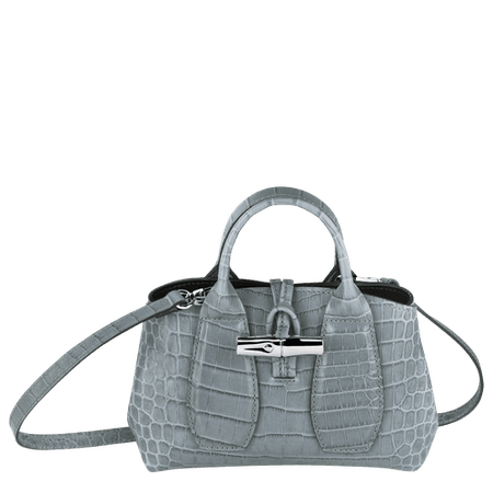 Top handle bag XS Roseau Sage (10057HTSD90) | Longchamp PT