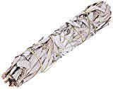 Amazon.com: White Sage Smudging Stick - Large (8'-9.5') - 2 Pack: Home & Kitchen