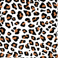 leopard print background - Google Search