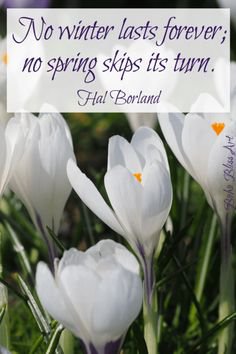 (33) Pinterest - Spring: Nature is Singing! | Seasons