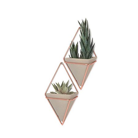 Umbra Trigg Hanging Planter & Geometric Wall Decor (Small, Set of 2) - Great For Succulent Plants, Air Plant, Mini Cactus, Fake Plants and More, White Ceramic/Brass: Amazon.ca: Home & Kitchen