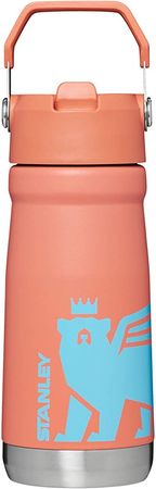 Amazon.com: Stanley Classic IceFlow™ Flip Straw Water Bottle 17OZ Ash Cub : Everything Else