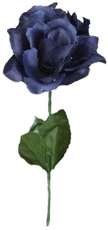 navy blue rose - Google Search