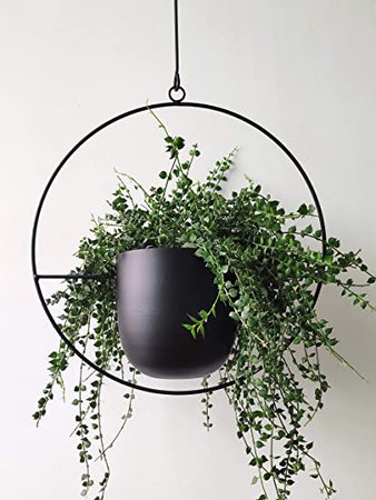 Amazon.com: RISEON Boho Black Metal Plant Hanger,Metal Wall and Ceiling Hanging Planter, Modern Planter, Mid Century Flower Pot Plant Holder, Minimalist Planter for Indoor Outdoor Home Decor (Style A): Garden & Outdoor