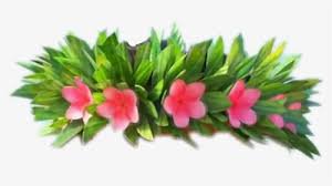 transparent hawaiian flower crown - Google Search