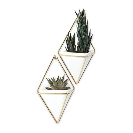 Umbra Trigg Hanging Planter & Geometric Wall Decor (Small, Set of 2) - Great For Succulent Plants, Air Plant, Mini Cactus, Fake Plants and More, White Ceramic/Brass: Amazon.ca: Home & Kitchen