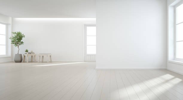 indoor-plant-on-wooden-floor-with-white-wall-background-in-large-room-picture-id903201530 (612×335)