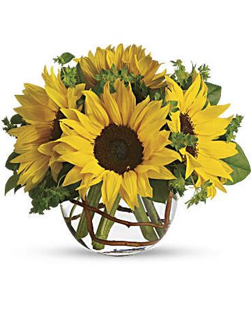 Sunny Sunflowers - Teleflora
