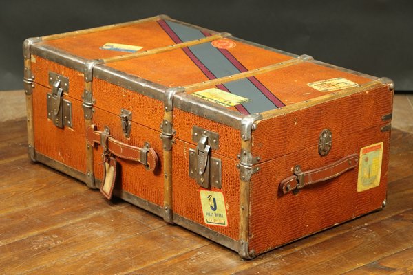 Vintage Trunk, 1920s for sale at Pamono