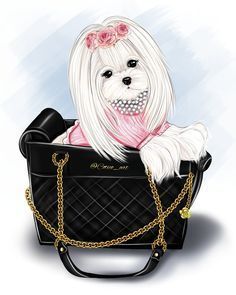 dog purse
