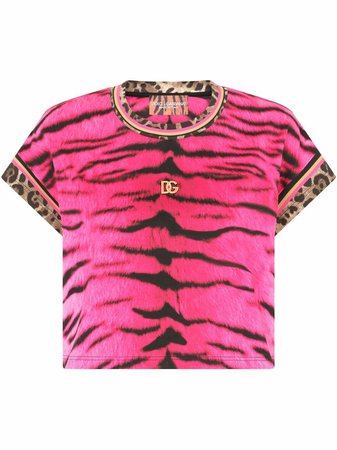 Dolce & Gabbana leopard-trim Zebra Print T-shirt