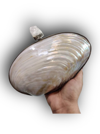 clam clutch purse ocean