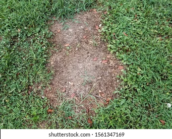 dirt patch