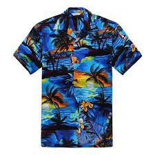 hawaiian shirt - Google Search