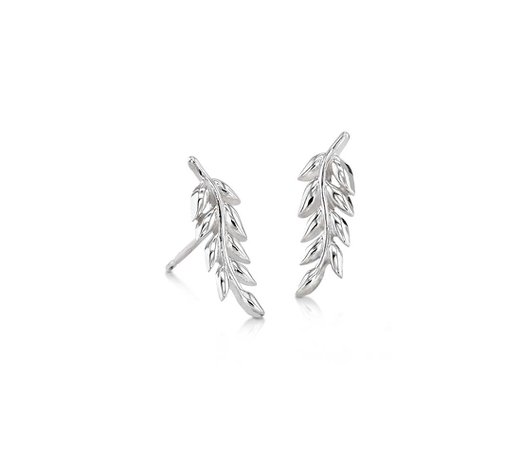 Leaf Stud Earrings in Sterling Silver | Blue Nile