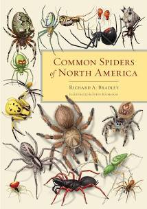 spider books - Google Search