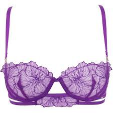 purple bra - Google Search