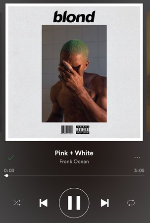 pink + white spotify