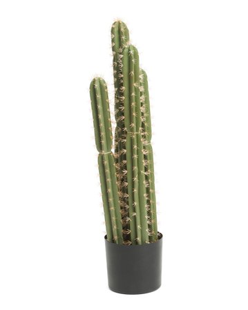 36in Potted Cactus With Rocks - Living Room - T.J.Maxx