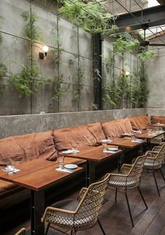 plant jungle romantic restaurant daylight vintage