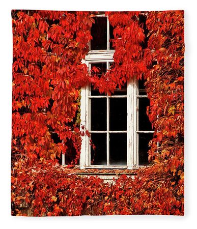 fall-time-vintage-white-window-and-red-leaves-luisa-vallon-fumi.jpg (860×1000)