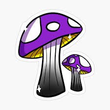 non binary mushroom - Google Search