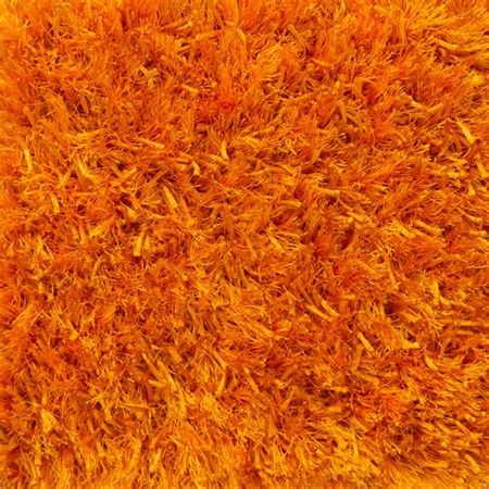 orange shag carpet images at DuckDuckGo